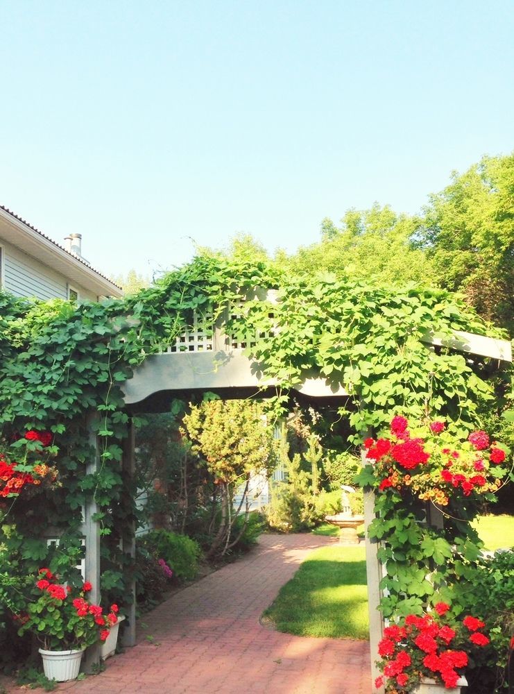 Mcdougall Lane Bed & Breakfast Drumheller Luaran gambar
